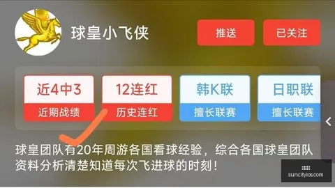 2026最新：日职乙都苗剧本